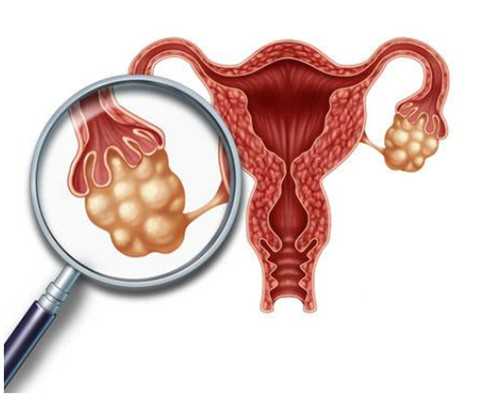 天津国内借卵中心_孕初期突然晚上恶心是什么原因