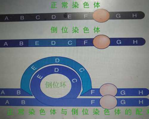 代孕在哪里-天津试管代孕的成功率怎么样_产前你容易忽视的产前征兆