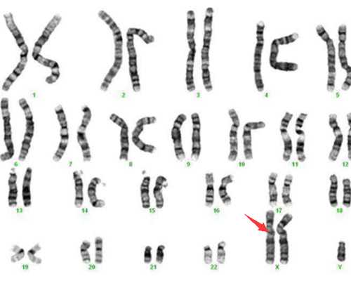 做代孕到哪里权威-天津代孕生个孩子_一个月婴儿怎么拍嗝