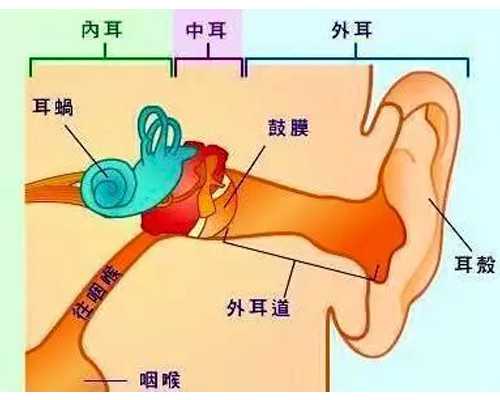 天津合法供卵医院_月经推迟五天能测出来怀孕吗