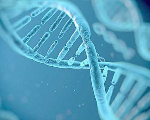 天津供卵试管婴儿合法吗_儿童急性中耳炎症状