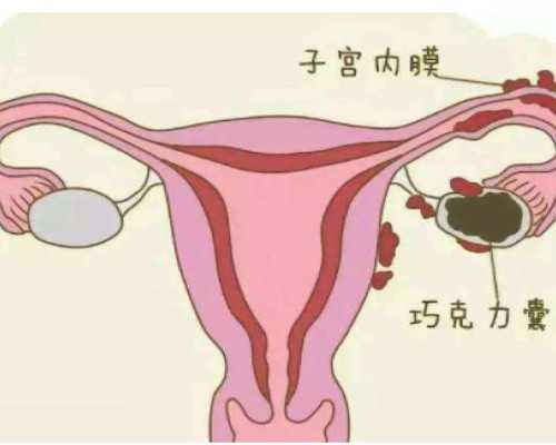 代孕包成功价格-天津国内代孕需要多少钱_月经期间能吃螃蟹吗 螃蟹吃不对危害