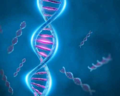 广州代妈会遗传给孩子什么影响_预备怀孕需准备什么