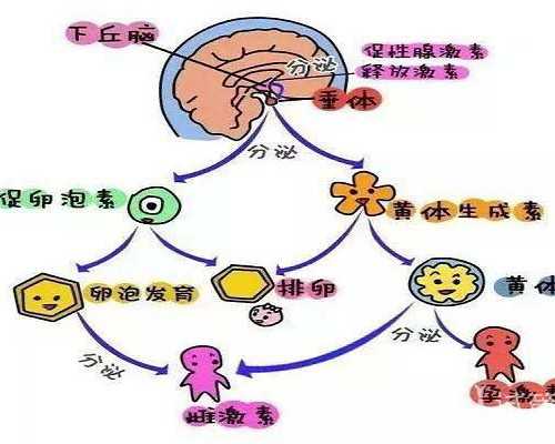 代妈来找坤和助孕_我为什么要生二胎(2)