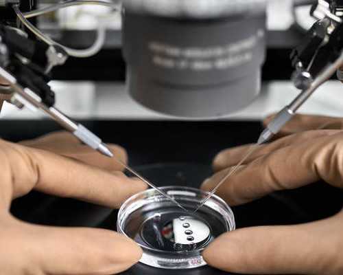 天津供卵助孕公司_哺乳期感冒能打针吗