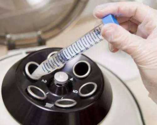 天津供卵产子公司_小孩学东西不用心怎么办