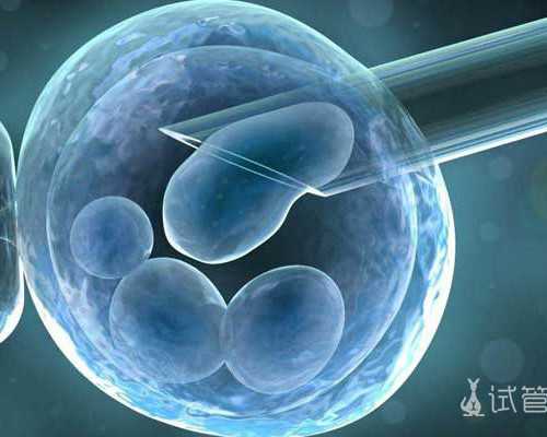 天津借卵试管寻坤和_怀孕时注射流感疫苗安全吗