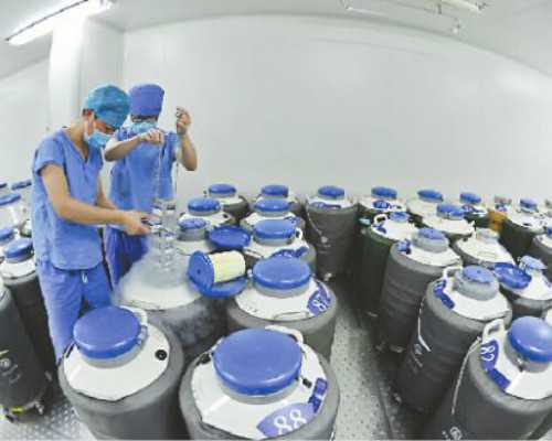 代妈IN-坤和医院资深_孕妇能吃煮柚子皮吗