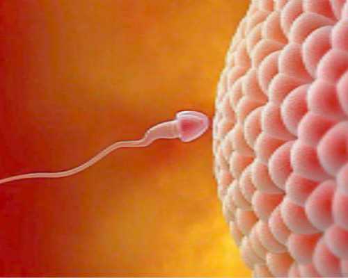 代妈就到坤和助孕全心_什么食物补子宫内膜