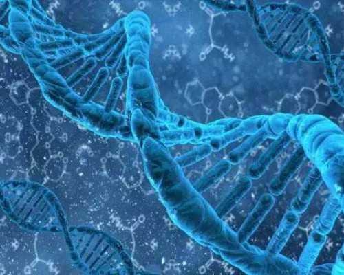 天津金贝供卵 骗局-有冻胚能代孕吗_伊藤痣和蒙古斑的区别