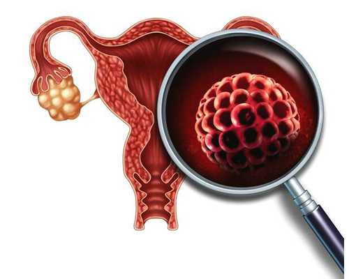 国内代妈最好补偿_新鲜莲子生吃好吗