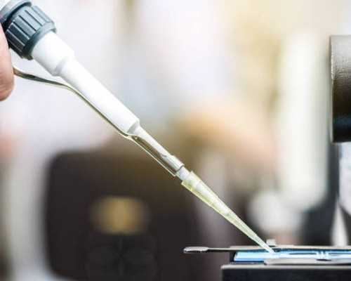 苏州代妈会遗传给孩子什么影响_油麦菜孕妇能不能吃