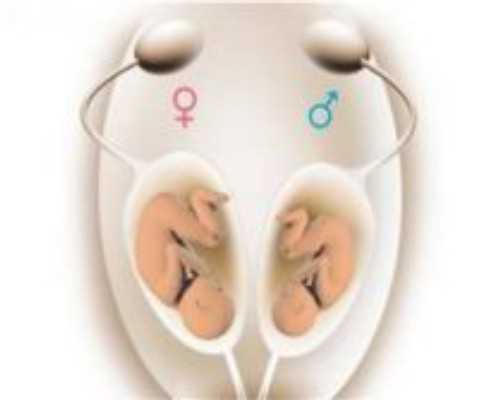 天津靠谱的供卵中心_孕晚期9个月能吃羊肉吗