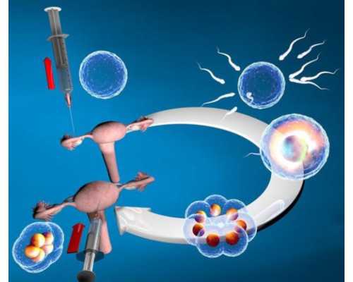 天津供卵最好的医院_怀孕了，到底哪些食物不能吃呢？