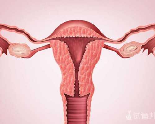 天津供卵试管代生孩子_月经周期怎么算