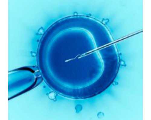 代孕一个孩子至少多少钱-天津哪里有供卵医院_婴儿腋下淹了怎么办