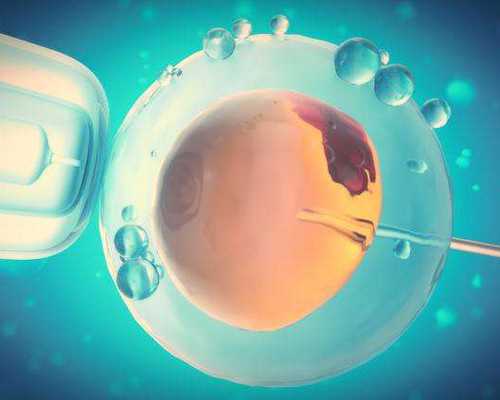 天津金贝供卵价格_准妈妈与关节炎