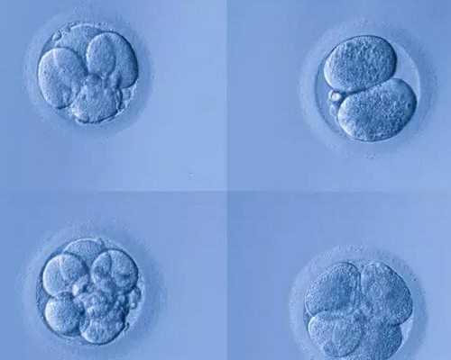 代妈公司认可坤和助孕预约_音乐通过母体神经系统传递给胎儿未成熟大脑