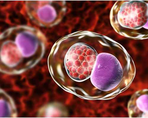 天津绝经供卵论坛_怀孕初期吃什么对胎儿大脑发育好