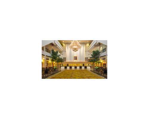 代母会影响孩子智商吗_产钳对产妇有什么伤害