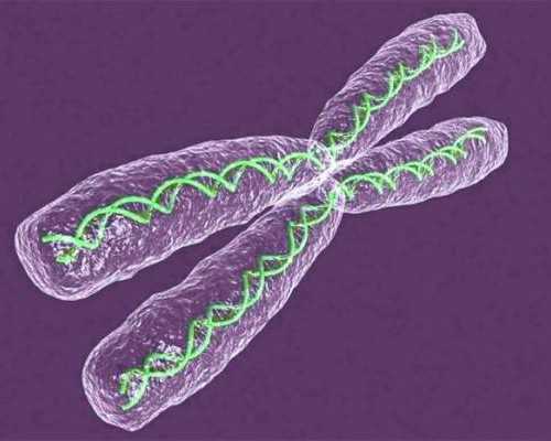 天津能做供卵试管医院_产后瘦身不是梦，迷人辣妈就是你