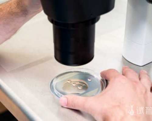 天津借卵供卵生子电话_如何给宝宝断奶瓶