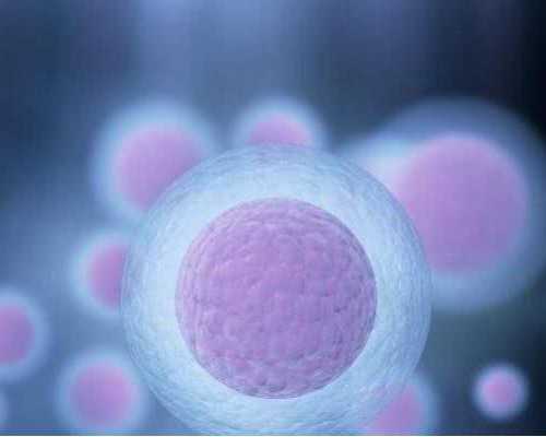 如何代孕-天津专业的合法代孕_2019年小暑养生禁忌