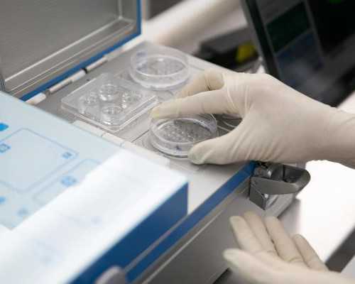 代妈皆选坤和助孕_孕妇喝甘蔗煮水的功效与作用