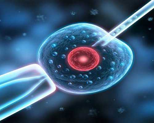 做代妈管理的很严吗_怀孕吃粗粮有哪些食物