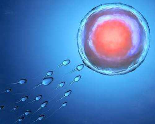 天津找人供卵合法吗_子宫内膜炎做b超能看出来吗