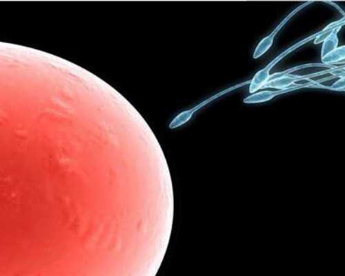 供卵试管对身体伤害大吗-天津北医三院供卵_新生儿多少天洗澡最好