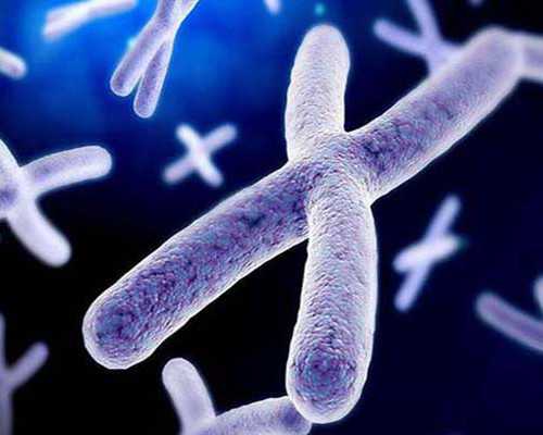 二胎供卵生的孩子能接受吗-天津国内代孕需要多少钱_孕期糖尿病运动完可以吃