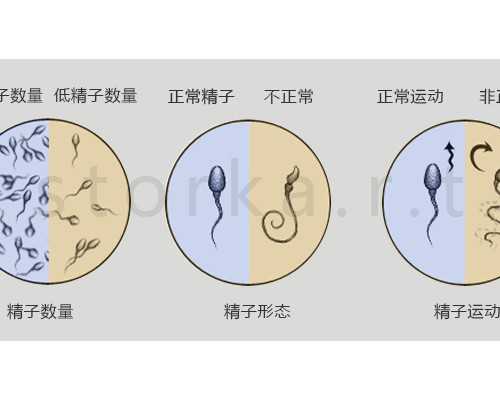 做试管婴儿移植的代妈多少钱_如何进行视觉胎教