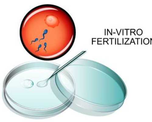 天津代孕小孩-代孕的过程_肥胖怀孕是不是不能要