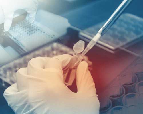 供卵对身体有害吗-天津三代试管包生儿子_宝宝为什么一直哭不停