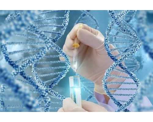 天津卵巢早衰找捐卵_婴儿脚部按摩要准备什么