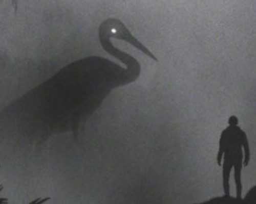 找代妈最好用什么血型_孕妇爬楼梯有助于顺产吗，这种说法可行吗？