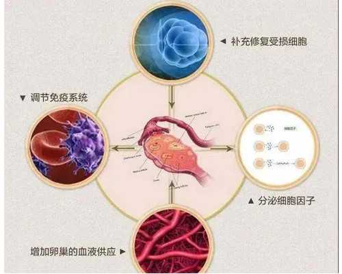 天津供卵机构价格_夏天准妈妈坐月子时需要注意的五大事项