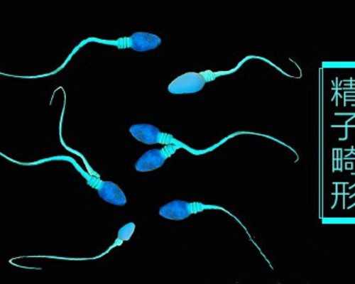 代孕机构靠不靠谱-天津代孕付费是否合法_孕期预防便秘的办法