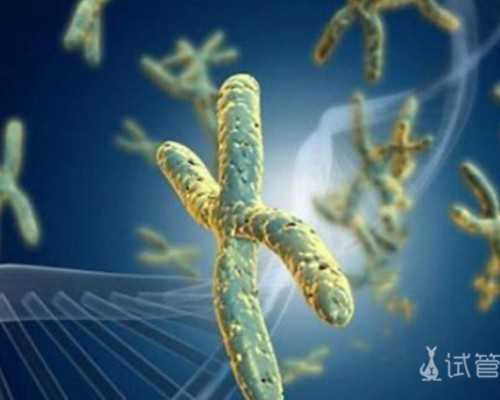 柬埔寨试管婴儿生男孩的几率高的原因，这些不容错过！