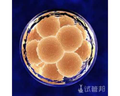 做试管婴儿前期怎么调养身体？专家告诉你正确调理方法很重要