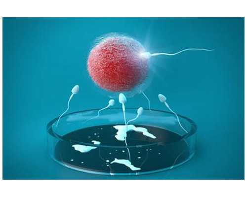 治疗卵巢早衰喝中药有用吗