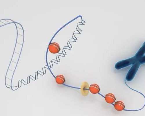 胆固醇高吃什么好
