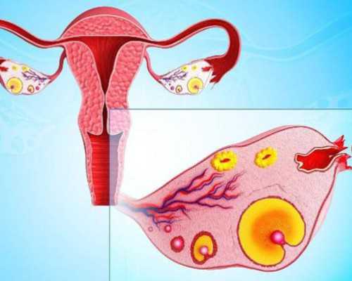 助孕代妈公司_人工助孕有哪几类？这四种放，医生带你了解！