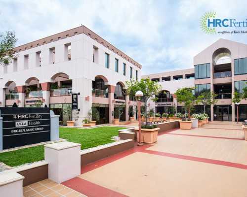 自己胚胎找代妈多少钱_助孕疼吗