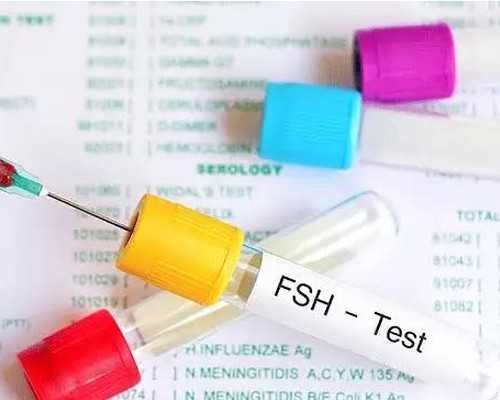 8c4胚胎移植几率大不大，读懂质量才是关键所在