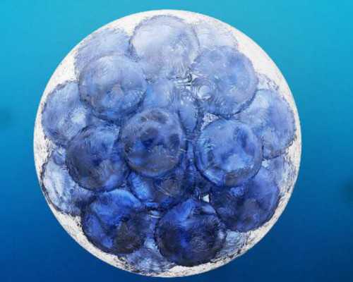 自然孕代妈小说_自己怎么找代妈_当阳有做助孕试管婴儿的医院吗？了解成功率