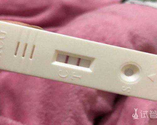 男孩崩溃吐槽姑姑30岁不敢捉鸟，教会3招让孩子越来越勇敢