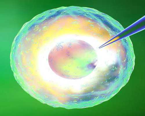 找自然受孕代妈网站_在宿州助孕试管婴儿前，女性该如何提高卵子质量？