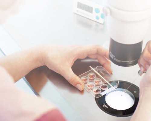 正规公司高薪招聘代妈_找人代生小孩大概要多少钱_助孕妈妈好眠的食物清淡